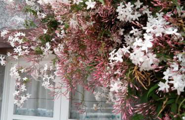 El Rinconin de Degu - Photo 45