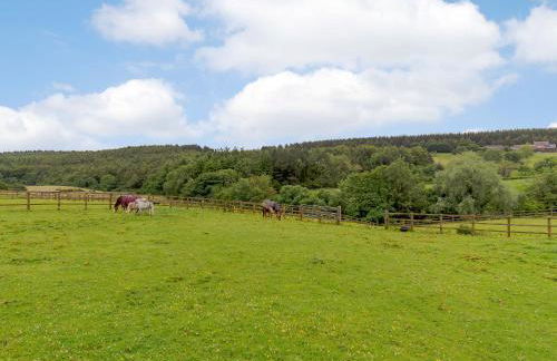 Orchard Cottage - Uk30524 - Foto 18