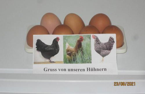 Ferienwohnung Landsknecht - Foto 13