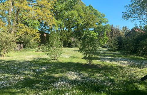 Familienhaus - Foto 21