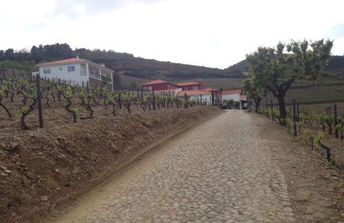 Quinta dos Espinheiros - Foto 99