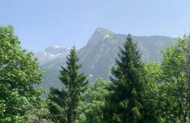 Mazot Hirondelle - Photo 28