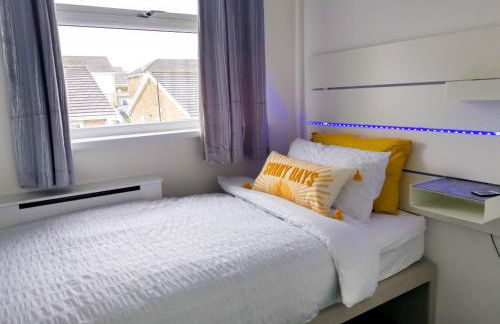 Bee At Home - Photo 6