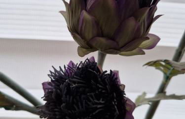 Spacious cosy welcoming cottage - Foto 20