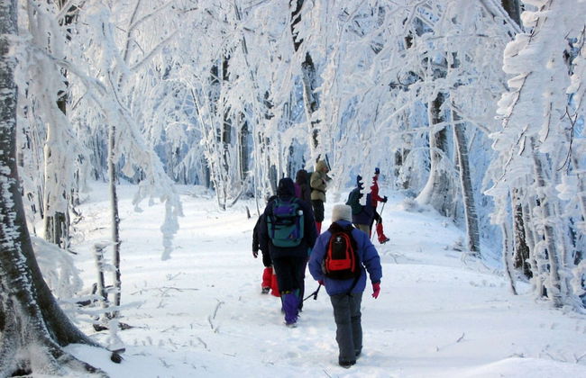 Residence Cimone - Foto 47