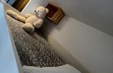 La joue du loup, aux pieds des pistes et vue sur montagnes - Photo 14