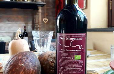 Bio Agriturismo Valle dei Calanchi - Foto 135