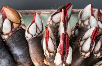 Galicia - Porto de Espasante - Ortigueira - Foto 18