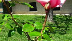 Gîte La Villa Gaïa - Foto 2, Garden view