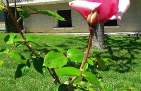 Gîte La Villa Gaïa - Foto 2