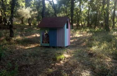 FINCA LA LISERILLA - Foto 33