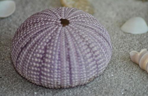 Apartment Nadoveza - Foto 19