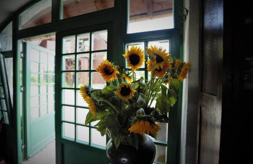 Domy Konesera - Foto 18