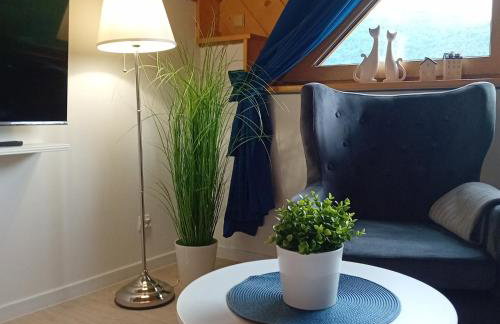 Apartamenty Na Brzegu Szczawnica - Photo 12