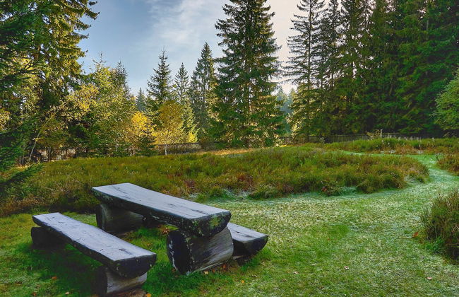 Jelení kout - Foto 34