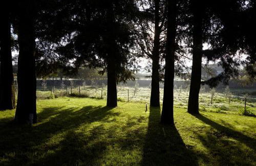 Quinta Do Sobral - Foto 31