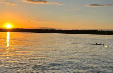 Sosnowe Apartamenty - Marina - Photo 23