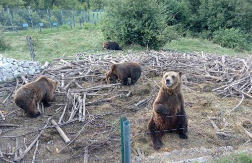 Kuća za odmor Dangubica - Photo 22