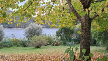 Casa do Lago - Foto 3