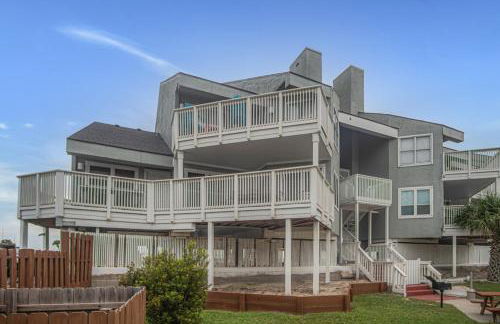 Pawsitively Paradise - Foto 3