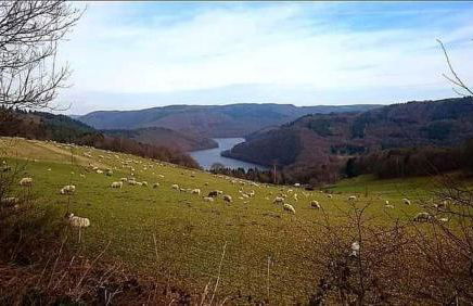 FeWo-Am-Nationalpark-Eifel - Foto 15