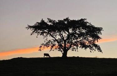 Chalé Romântico para Casal - Photo 25