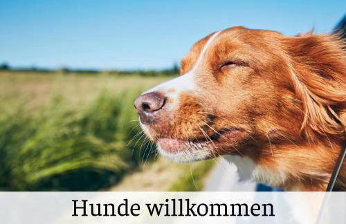 Ferienhaus Waldblick Heimbuchenthal - mit Kamin, Wintergarten und Terrasse - Foto 20