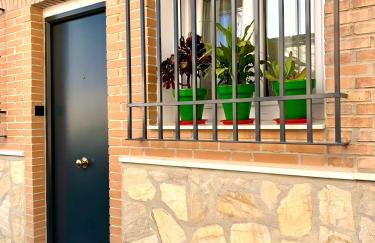 Verde Oliva Albero Limon - Photo 3