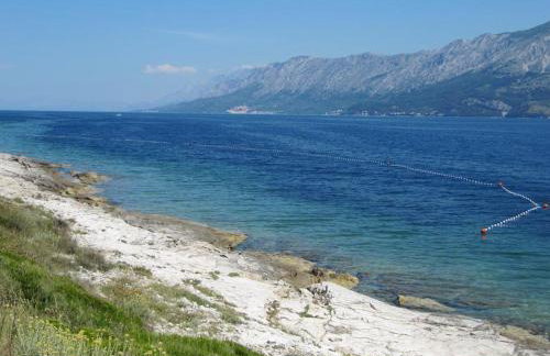 Studio Manora Sucuraj - Foto 31