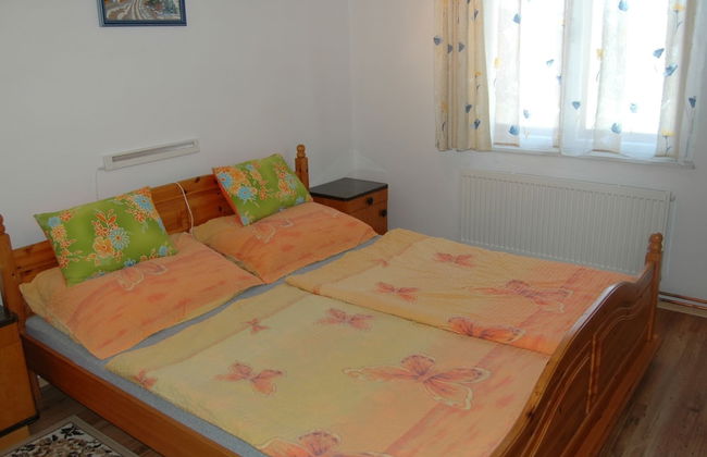 House With the Pool and Fenced Garden, Great View at Trosky Castle - Photo 4