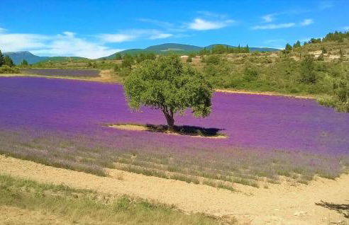 Nice Home In Carpentras - Foto 28