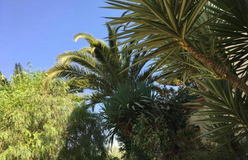 Poggio Delle Palme - Foto 29