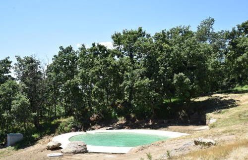 Quinta de S. Cipriano - Foto 16