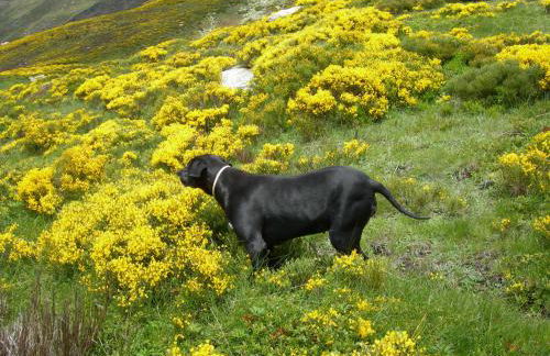 Appartement les rives de l’Ariège - Foto 61