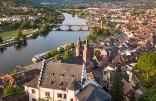 Altstadtzauber Apartments Miltenberg - Foto 68