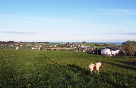 El Pueblín del Pinar - Foto 14