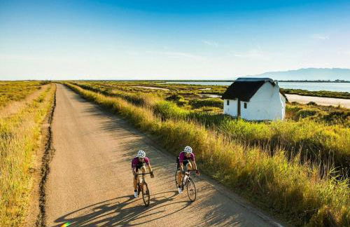 Deltafamily ¡ barbacoa,piscina, wifi Chromecast !! - Foto 34