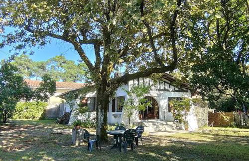 Charmante villa avec jardin clos, à 100m du Bassin d'Arcachon, proche plages et commerces, Wi-Fi - FR-1-736-47 - Foto 1