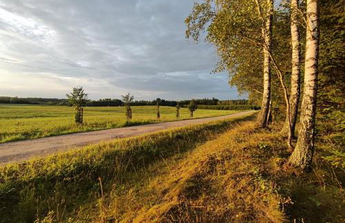 Cały dom na wyłączność - Ostoja Leśna Cisza - Foto 42