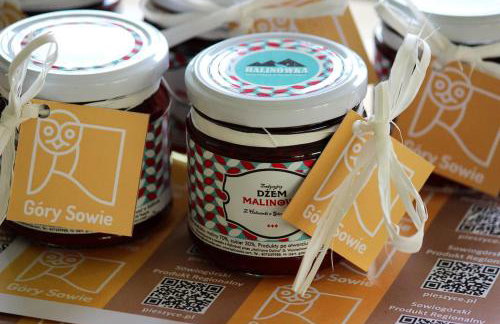 Halinówka - Twoje Miejsce w Górach Sowich - Foto 40