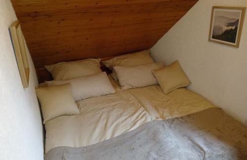 Ferienhaus Schlosswaldblick im Erzgebirge - Foto 42