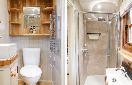 Little Silver Fox - Foto 15