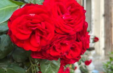 La Colline de Tilleul - Les Tilleuls - 4 STAR RATED - stunning cottage with pool near Aubeterre in idyllic location - Foto 10