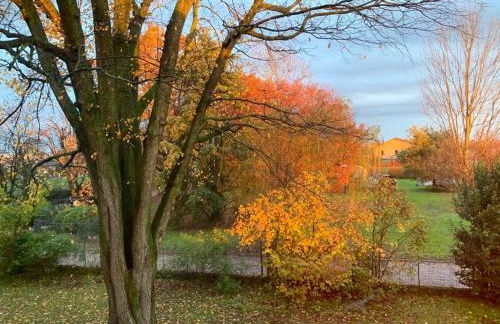 Barchessa Rossetti - Photo 6