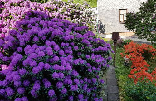 Ferienwohnung Baacke - Foto 16