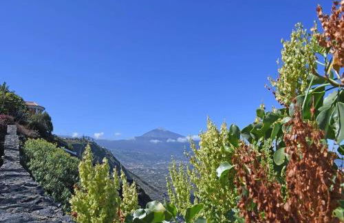 Holiday Home in Tenerife with Private Garden - Foto 29
