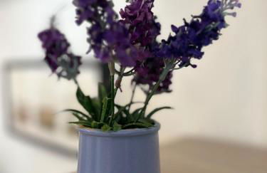 NURAS - Casa Nina - Foto 12