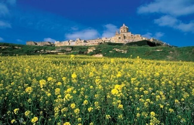 Charming Seafront House In Kalkara - Foto 14