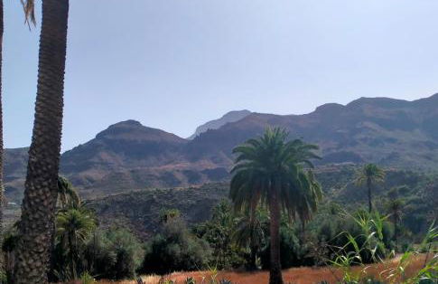 Villa Aura - Foto 33