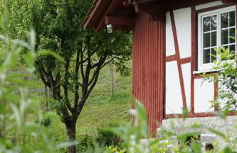 Haus Wiesenruhe - Foto 2